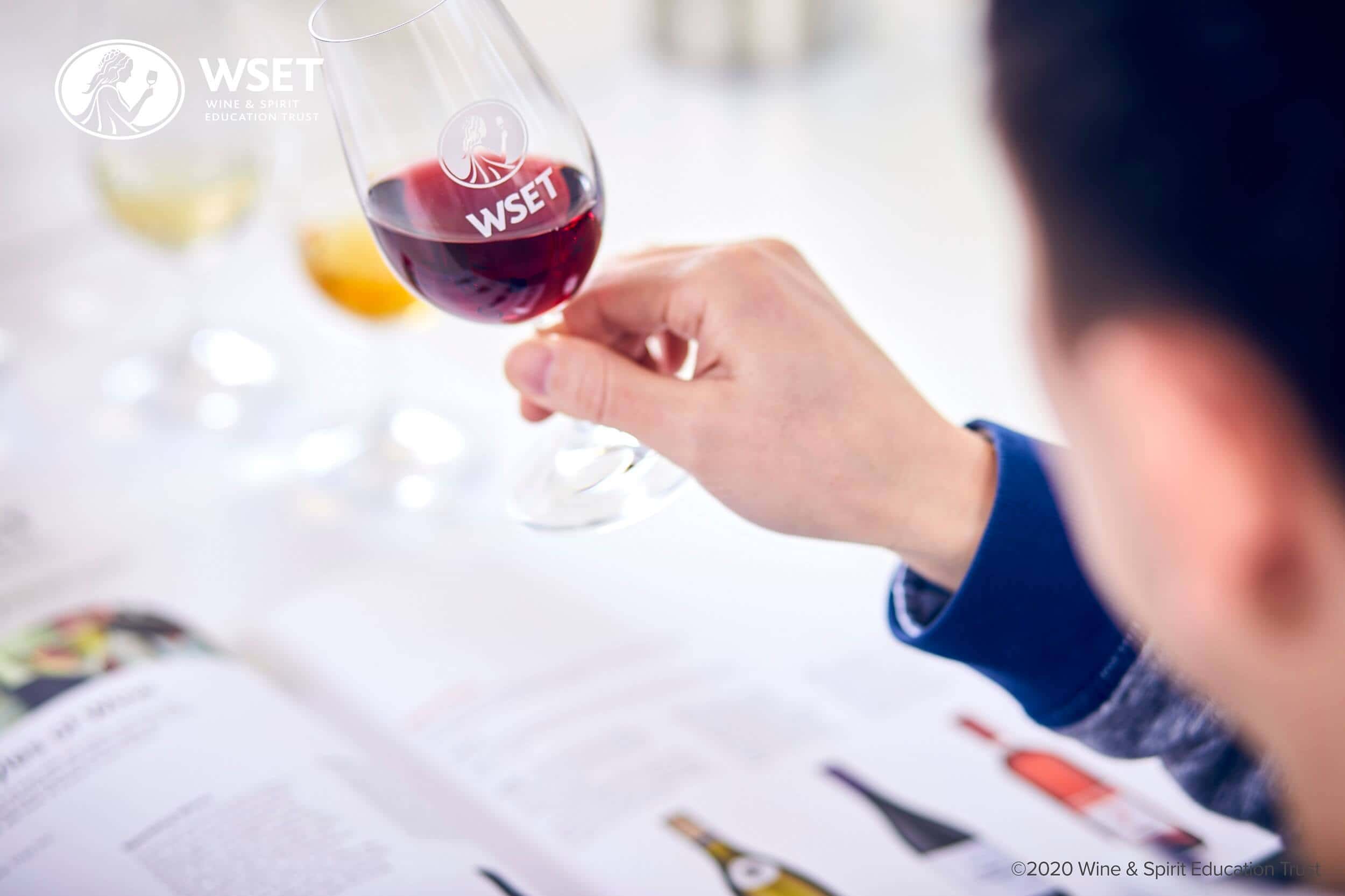 Student evaluating red wine in a WSET tasting glass during a wine education course, with study materials on the table.